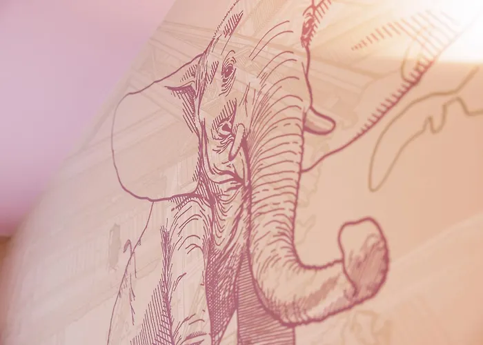 Mcdreams City Wuppertal